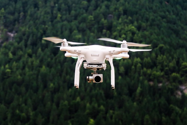 arborists in San Diego using drones for inspection